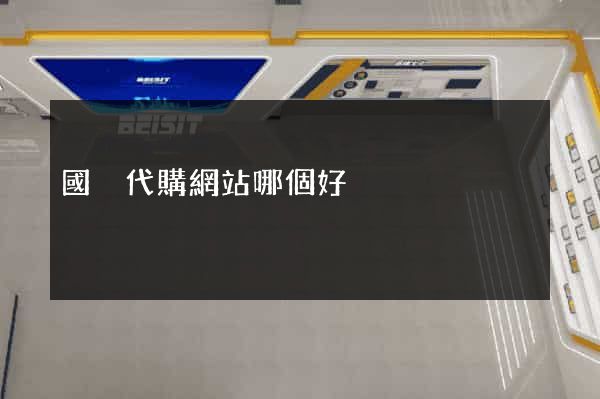 國內代購網站哪個好